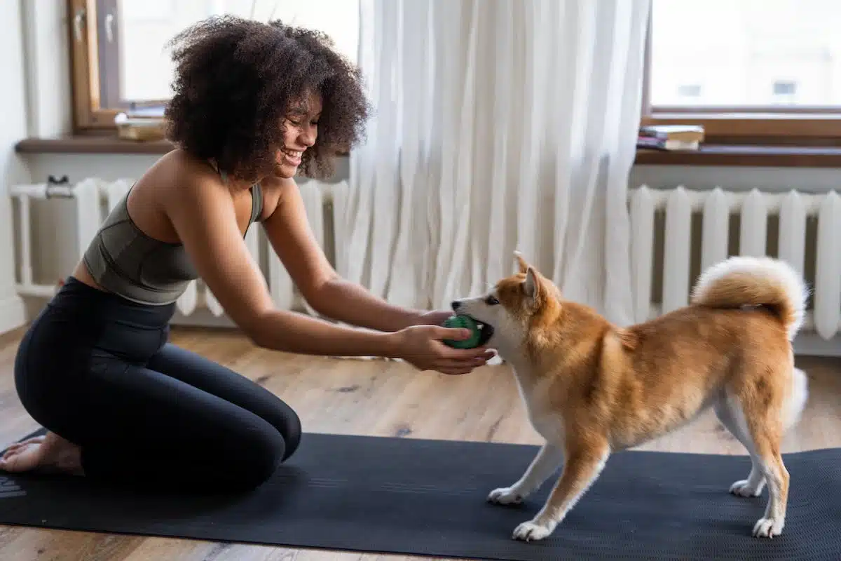 Le bien-être physique et mental : les avantages de posséder un chien pour la réduction du stress et l’exercice physique