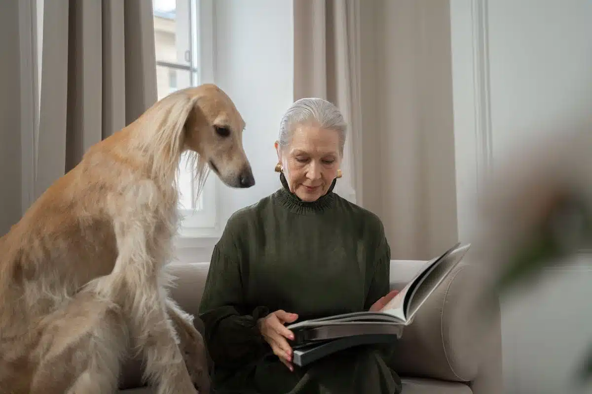 L’influence positive des animaux sur le bien-être des personnes âgées : une approche thérapeutique innovante