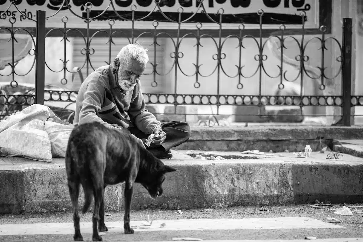 personnes âgées  animaux