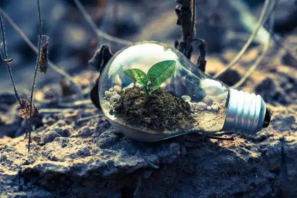 Découvrez les actions en faveur de la préservation de l’environnement et des animaux