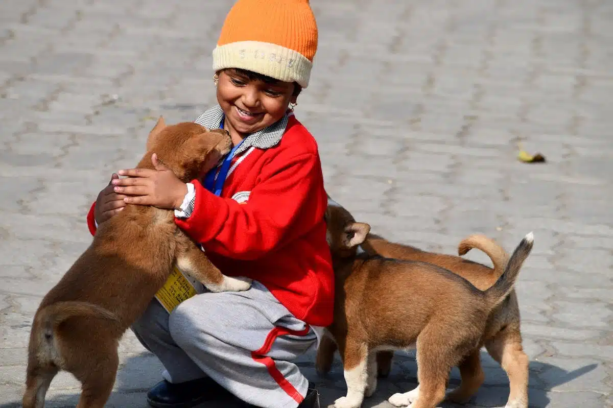 Les bénéfices de la complicité entre chiens et enfants