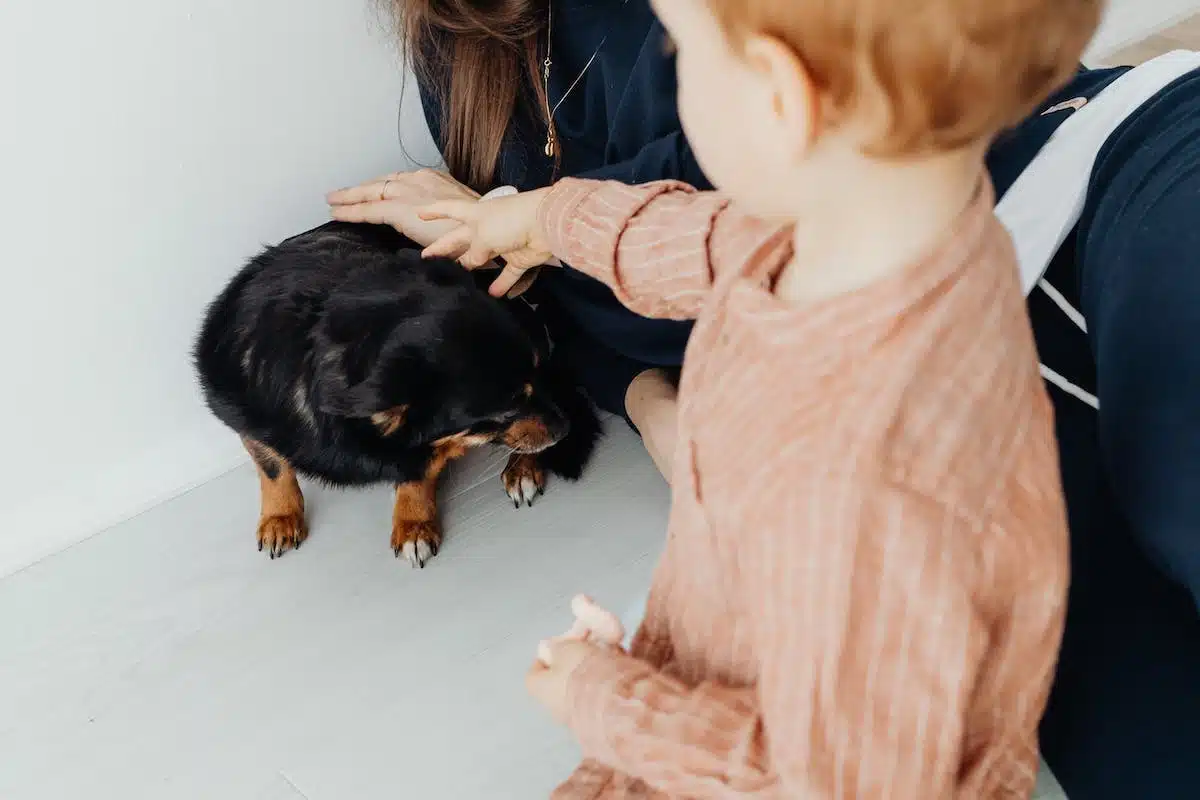enfant chien