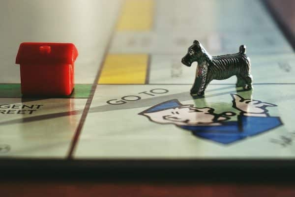 Les dernières lois et réglementations pour protéger les animaux : tout ce que vous devez savoir