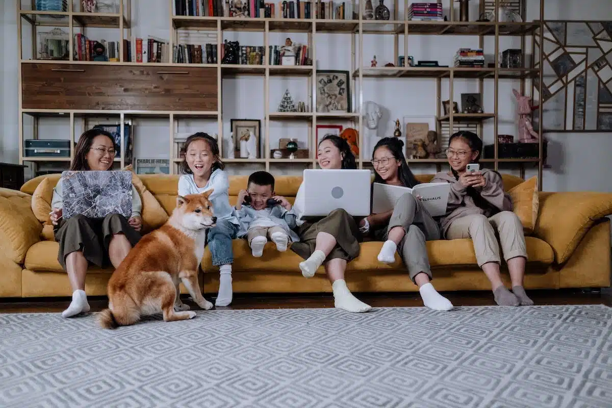 Intégration réussie d’un chien dans un foyer avec d’autres animaux de compagnie : Guide pratique