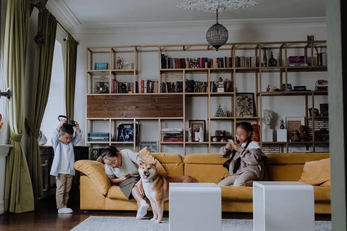 chien  famille