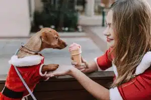 Prendre soin de son animal de compagnie pendant les vacances : les meilleures astuces à connaître
