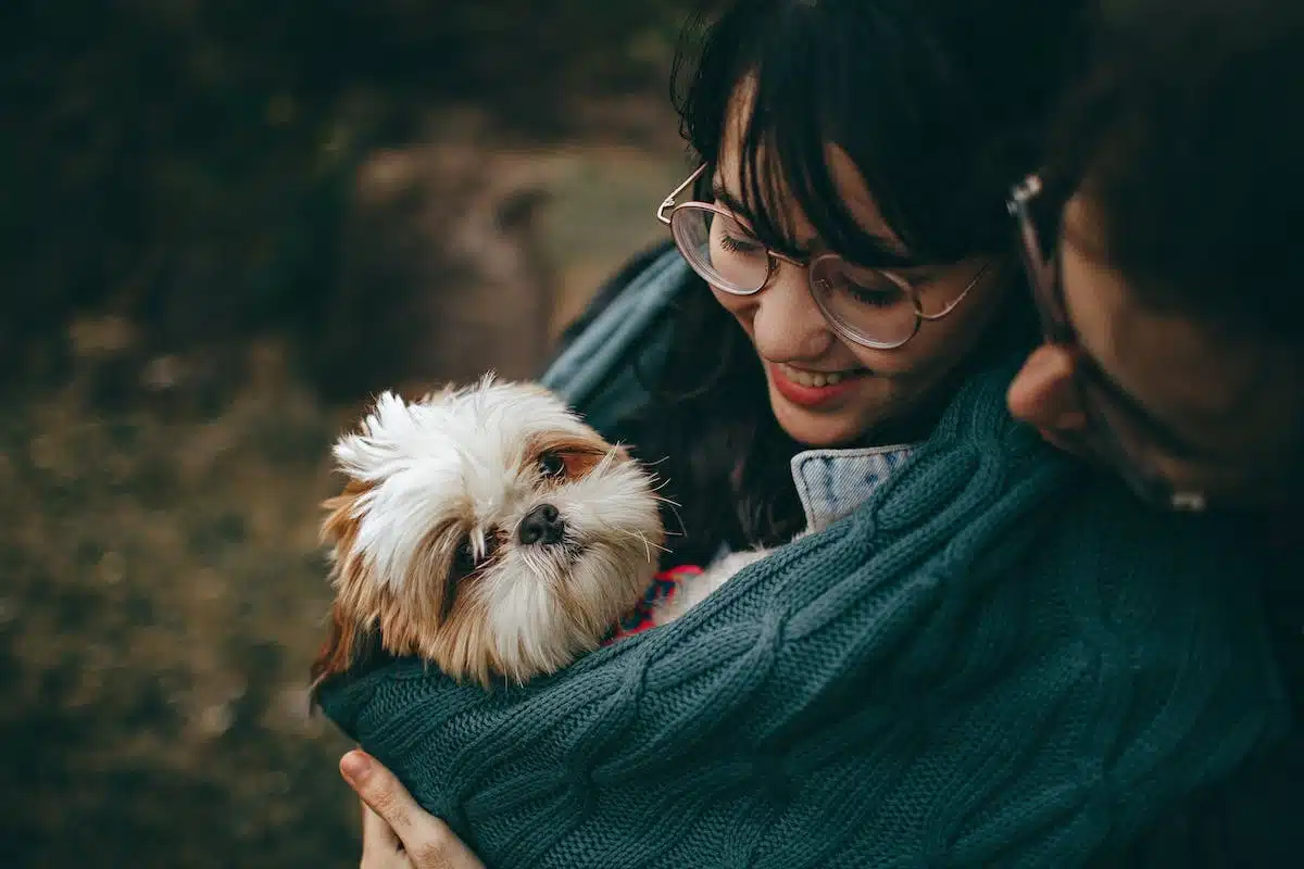 Les meilleures activités pour renforcer le lien entre chiens et propriétaires