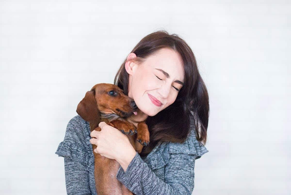 chien  propriétaire