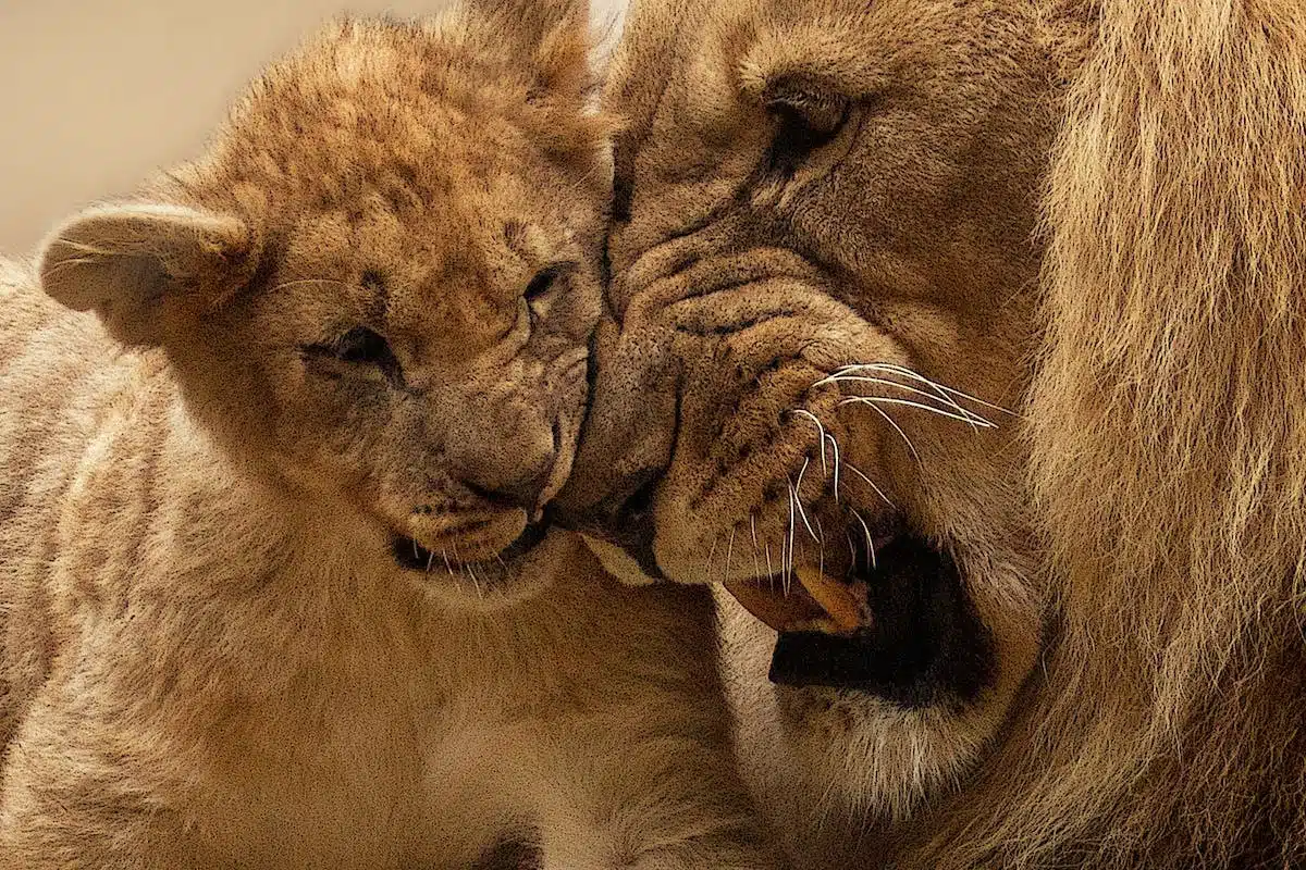 Les représentations animalières dans l’art : quand les animaux inspirent les artistes