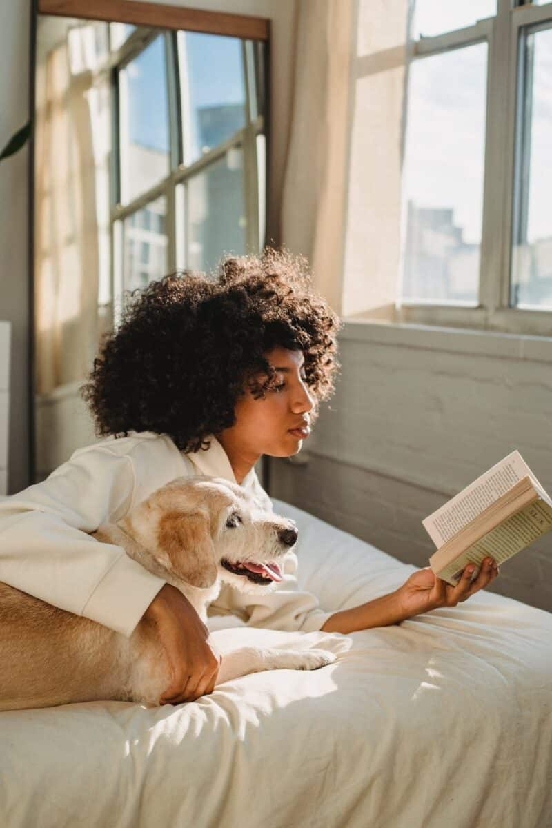 Les clés d’une adoption animale responsable pour le bonheur de votre compagnon