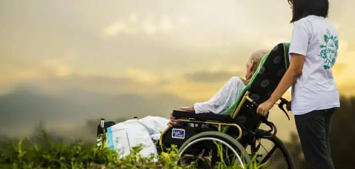 Les bénéfices des chiens d’assistance pour les personnes atteintes d’un handicap