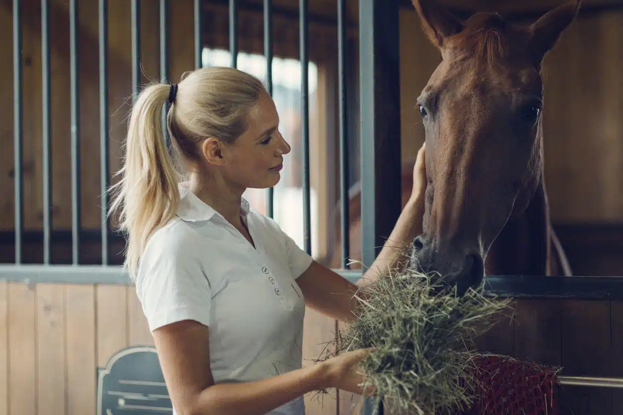 Comment un cheval devient-il naviculaire ?