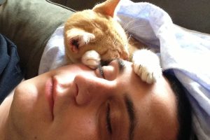 Pourquoi mon chat me lèche-t-il la tête ?