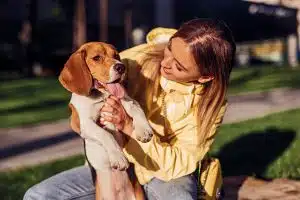 Quelles sont les différentes options de traitement de dysplasie chez les chiens ?